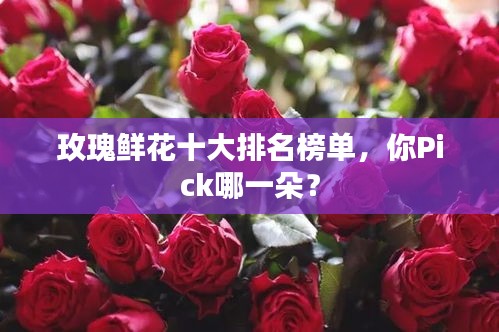 玫瑰鲜花十大排名榜单，你Pick哪一朵？