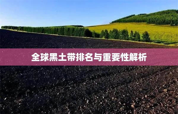 全球黑土带排名与重要性解析