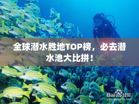 全球潜水胜地TOP榜，必去潜水池大比拼！