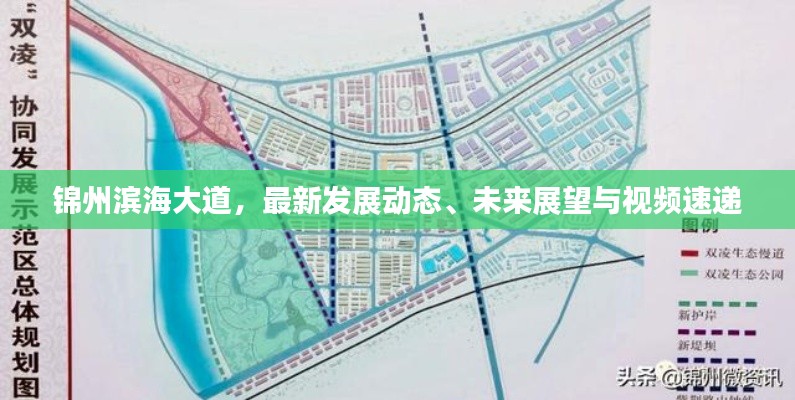锦州滨海大道，最新发展动态、未来展望与视频速递