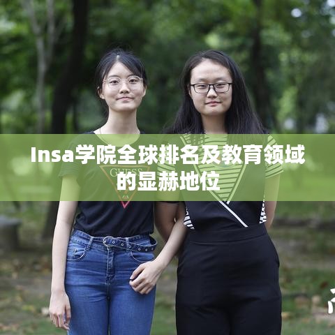 Insa学院全球排名及教育领域的显赫地位