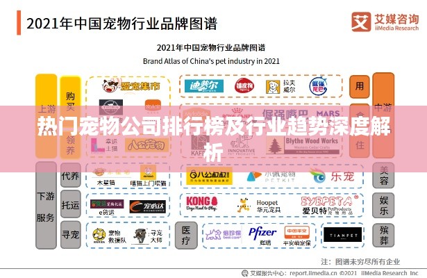 热门宠物公司排行榜及行业趋势深度解析