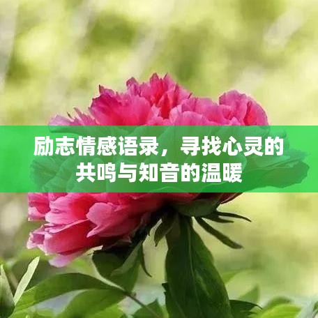 励志情感语录，寻找心灵的共鸣与知音的温暖