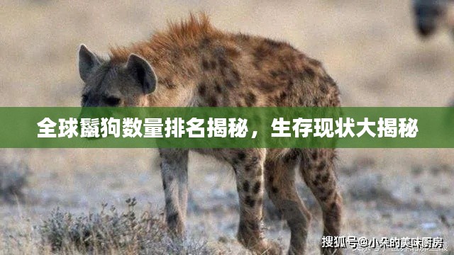 全球鬣狗数量排名揭秘，生存现状大揭秘