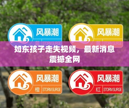 如东孩子走失视频，最新消息震撼全网
