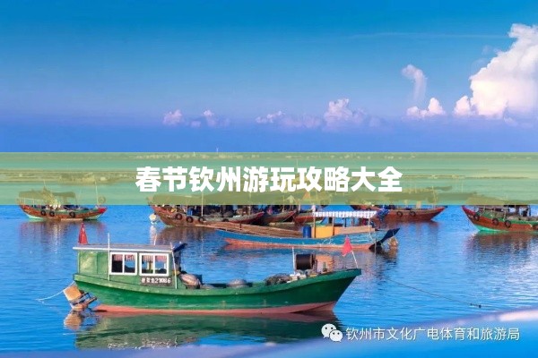 春节钦州游玩攻略大全