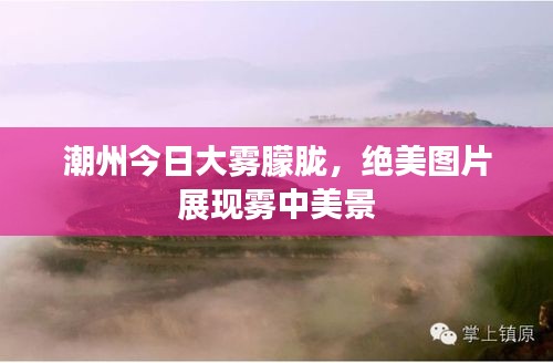 潮州今日大雾朦胧，绝美图片展现雾中美景