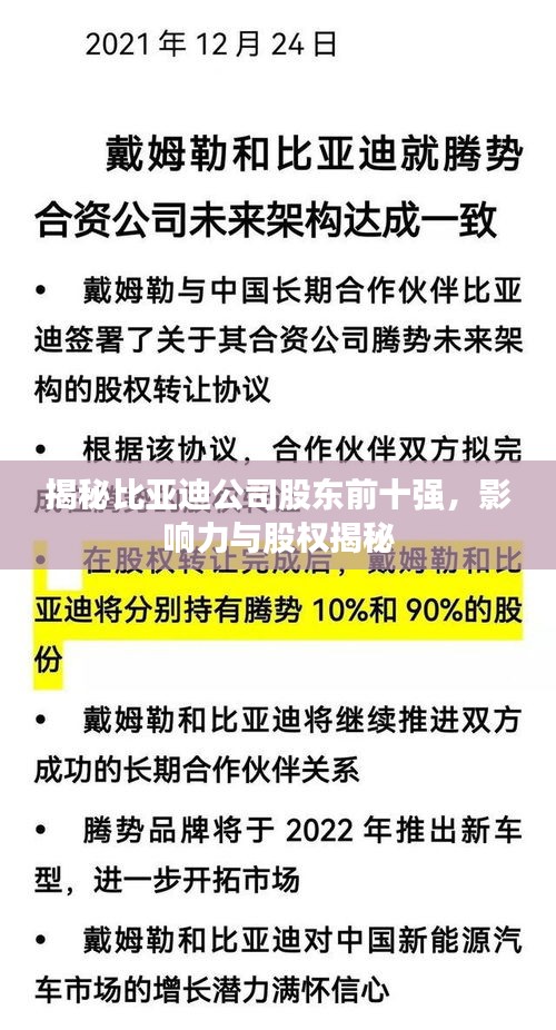揭秘比亚迪公司股东前十强，影响力与股权揭秘