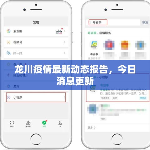 龙川疫情最新动态报告，今日消息更新
