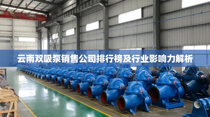 云南双吸泵销售公司排行榜及行业影响力解析