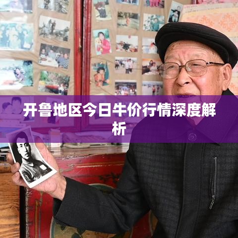 开鲁地区今日牛价行情深度解析
