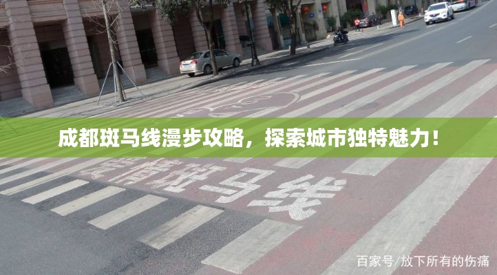 成都斑马线漫步攻略，探索城市独特魅力！