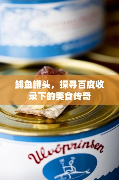 鲱鱼罐头，探寻百度收录下的美食传奇