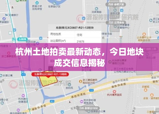 杭州土地拍卖最新动态，今日地块成交信息揭秘