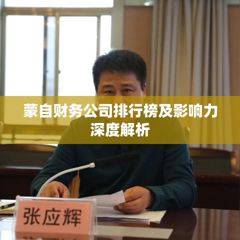 蒙自财务公司排行榜及影响力深度解析