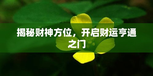 揭秘财神方位，开启财运亨通之门