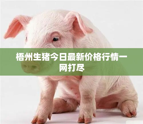 梧州生猪今日最新价格行情一网打尽