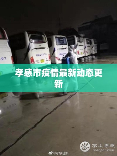 孝感市疫情最新动态更新