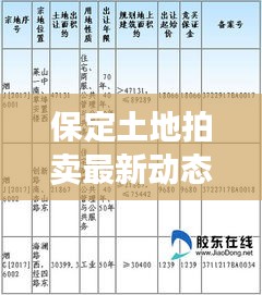 保定土地拍卖最新动态视频曝光