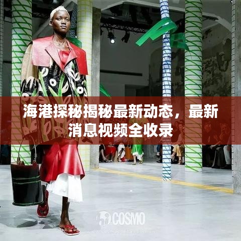 海港探秘揭秘最新动态，最新消息视频全收录