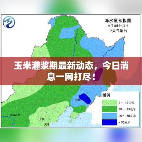 玉米灌浆期最新动态，今日消息一网打尽！