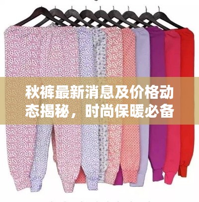 秋裤最新消息及价格动态揭秘，时尚保暖必备之选！
