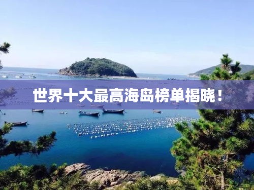 鞭驽策蹇 第2页