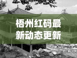 梧州红码最新动态更新