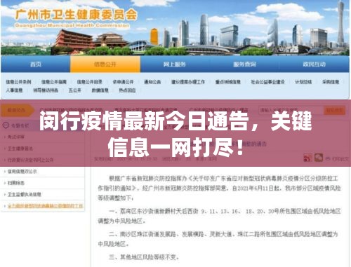 闵行疫情最新今日通告，关键信息一网打尽！