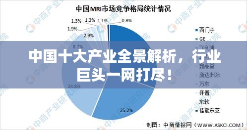 中国十大产业全景解析，行业巨头一网打尽！