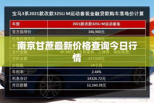南京甘蔗最新价格查询今日行情