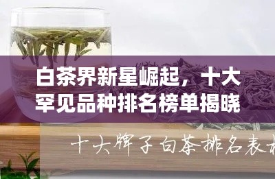 白茶界新星崛起，十大罕见品种排名榜单揭晓！