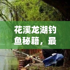 花溪龙湖钓鱼秘籍，最新攻略指南来袭！