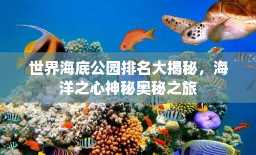世界海底公园排名大揭秘，海洋之心神秘奥秘之旅