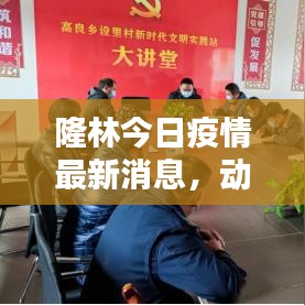 隆林今日疫情最新消息，动态更新，你关心的都在这里