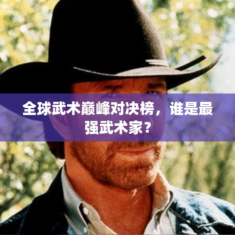 全球武术巅峰对决榜，谁是最强武术家？