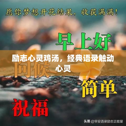 励志心灵鸡汤，经典语录触动心灵
