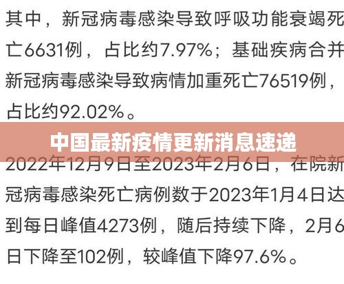 中国最新疫情更新消息速递