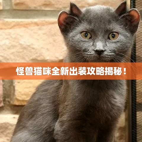 还淳反朴 第2页