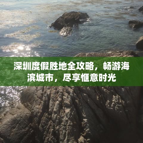 深圳度假胜地全攻略，畅游海滨城市，尽享惬意时光