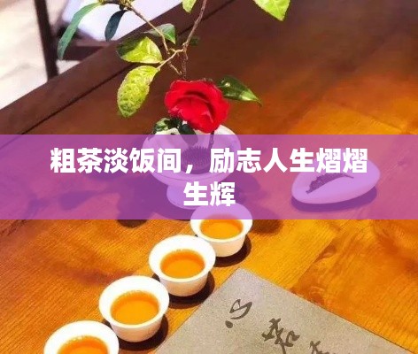 粗茶淡饭间，励志人生熠熠生辉