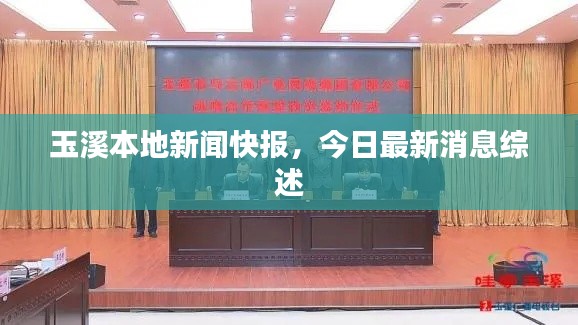 玉溪本地新闻快报，今日最新消息综述