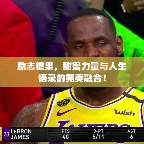 倦鸟思归 第2页