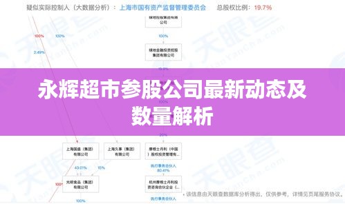 永辉超市参股公司最新动态及数量解析