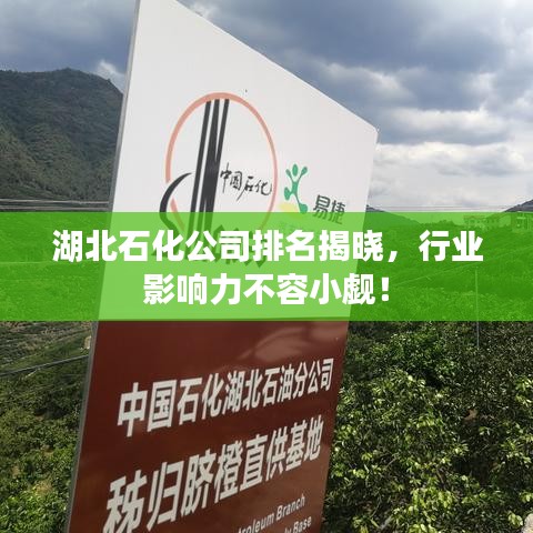 湖北石化公司排名揭晓，行业影响力不容小觑！