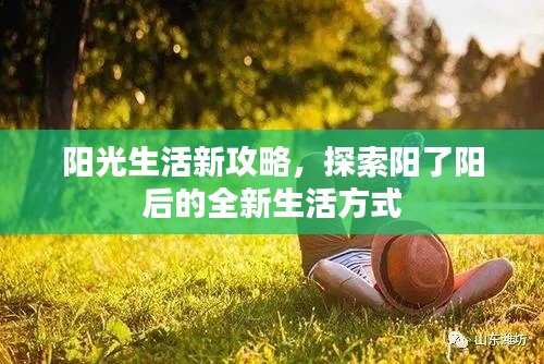 阳光生活新攻略，探索阳了阳后的全新生活方式