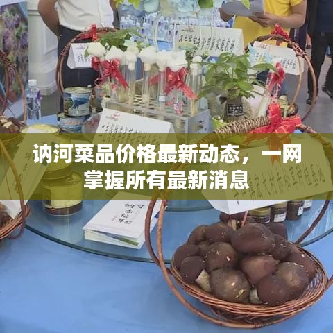 讷河菜品价格最新动态，一网掌握所有最新消息