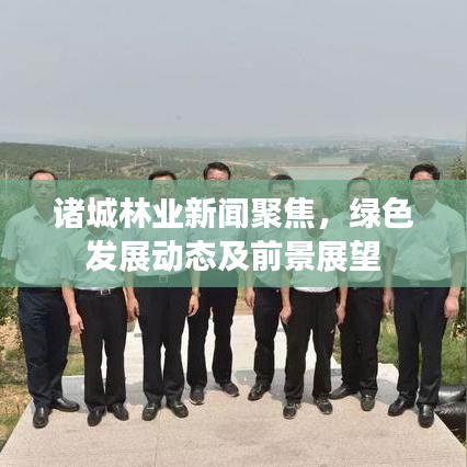 诸城林业新闻聚焦，绿色发展动态及前景展望