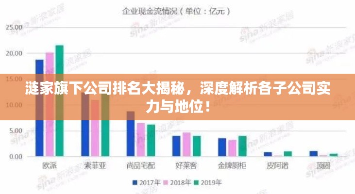 涟家旗下公司排名大揭秘，深度解析各子公司实力与地位！