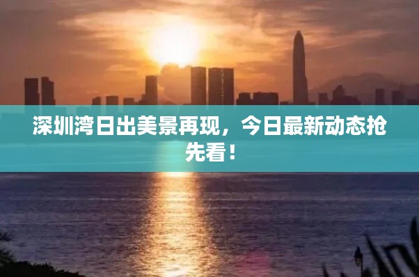 深圳湾日出美景再现，今日最新动态抢先看！